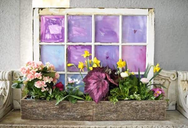 6 Creative DIY Ways To Display Houseplants 6 Creative DIY Ways To Display Houseplants