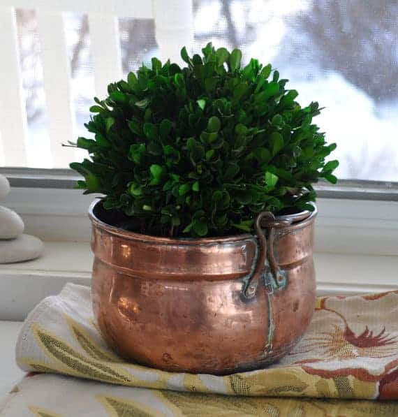 6 Creative DIY Ways To Display Houseplants 6 Creative DIY Ways To Display Houseplants
