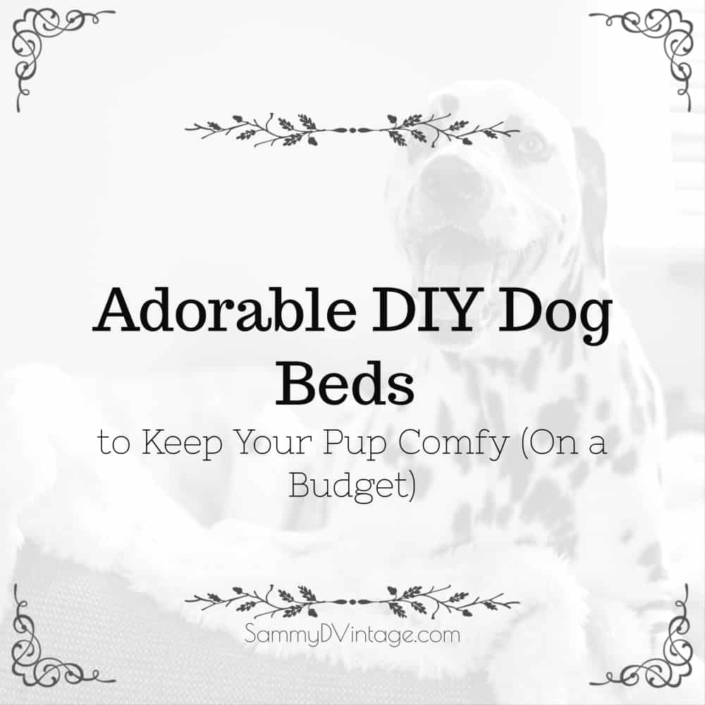 Adorable DIY Dog Beds to Keep Your Pup Comfy (On a Budget)