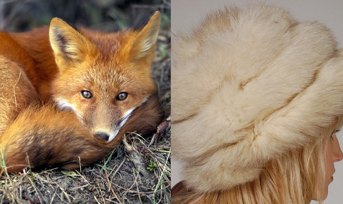 How to Identify Vintage Mink, Fox, Rabbit, Beaver & Raccoon Furs