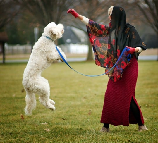 sammy davis wears a 1970s vintage dress from emotional outlet vintage with her goldendoodle mac