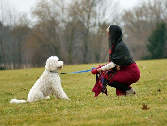 sammy davis wears a 1970s vintage dress from emotional outlet vintage with her goldendoodle mac